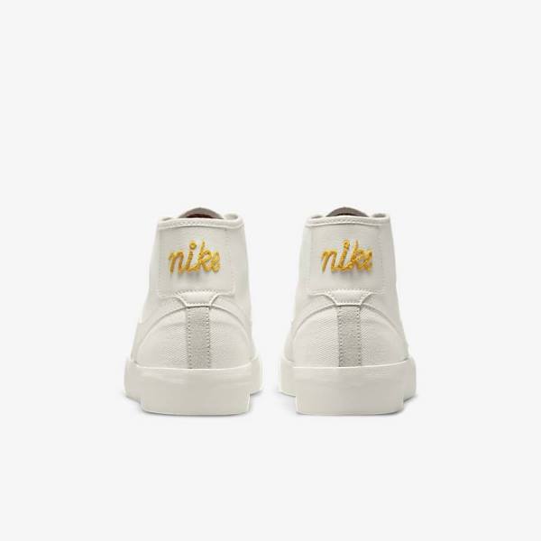 Men's Nike SB BLZR Court Mid Premium Skate Shoes White | NK051CEB