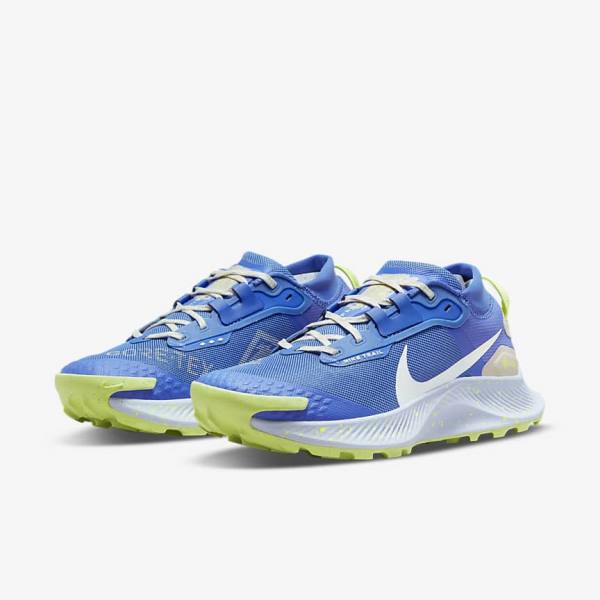 Women's Nike Pegasus Trail 3 GORE-TEX Waterproof Trail Running Shoes Blue / Brown / Grey | NK758NKS